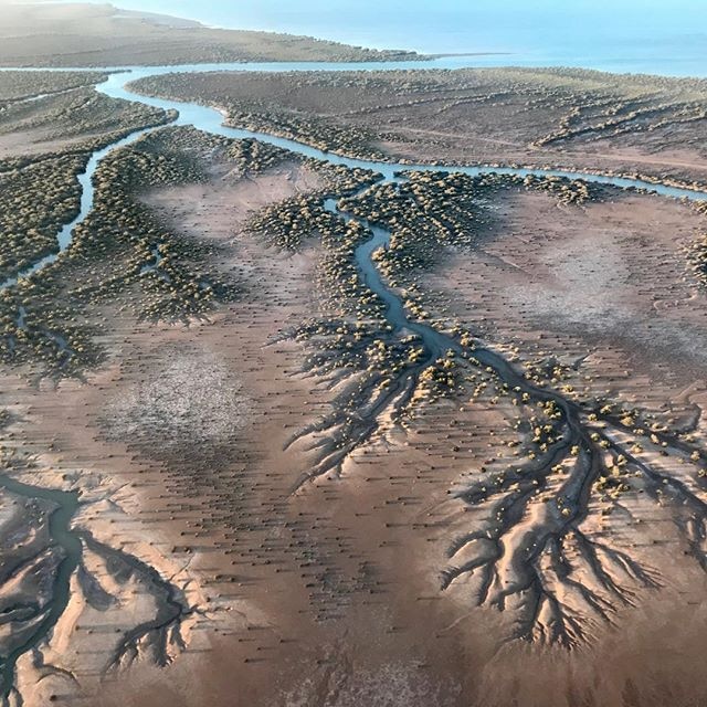 A aerial photo of river wetlands in Karratha, Western Australia.