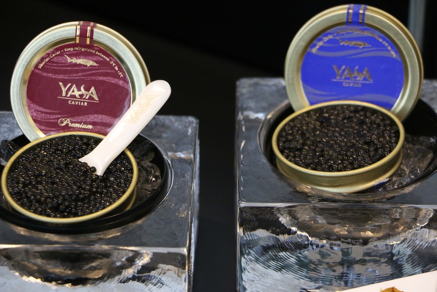 Yasa caviar pots