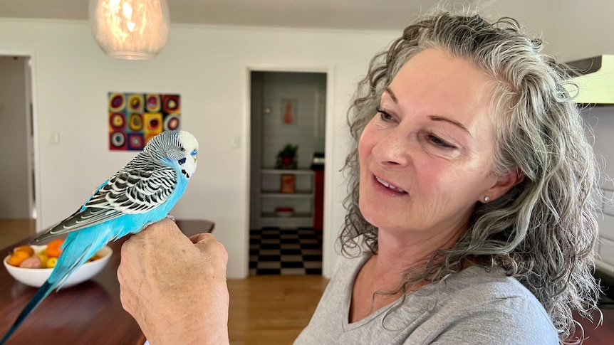 Kaz Roberts and her four-year-old blue budgie