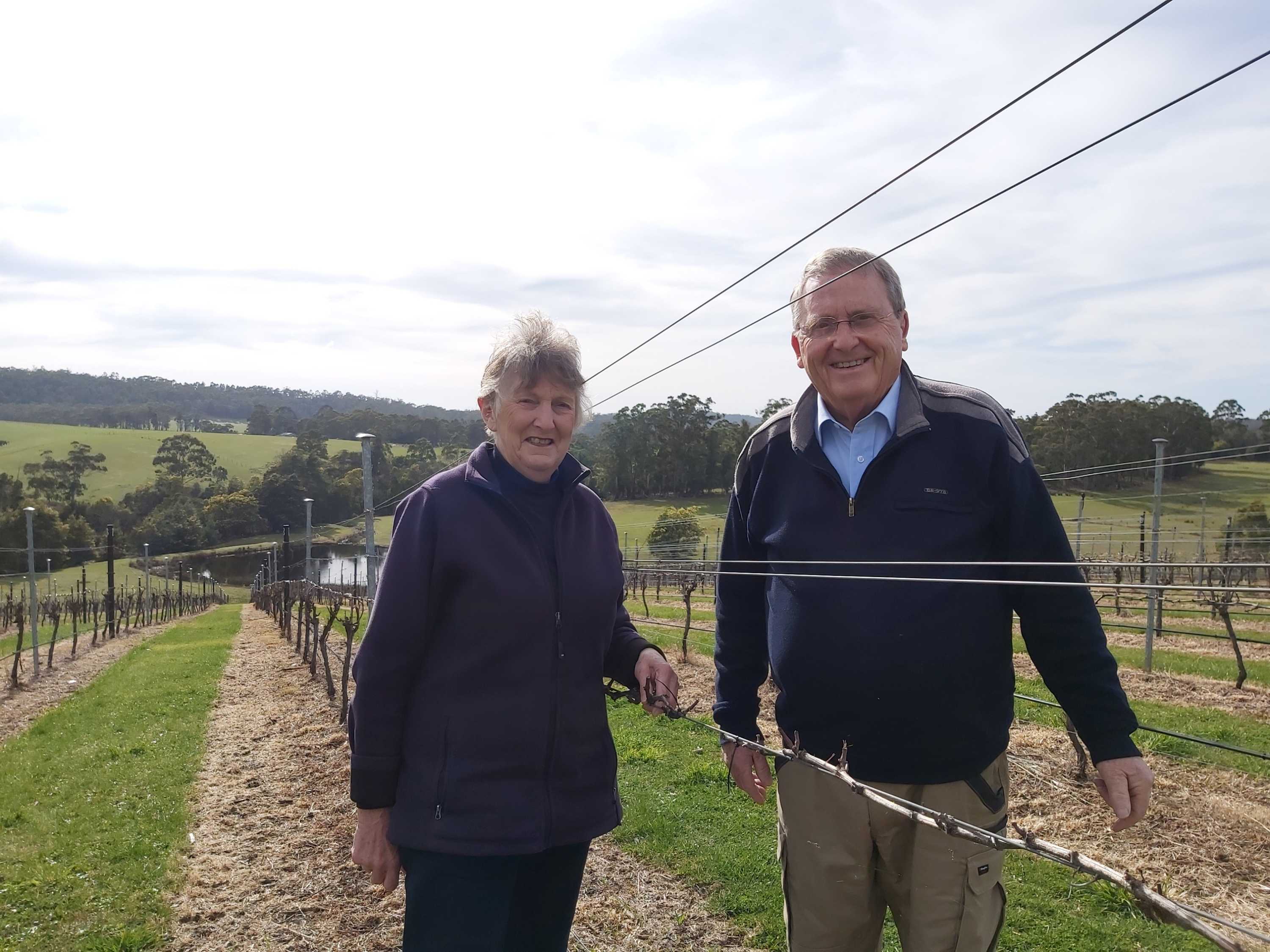 Visitors a priority at Priory Ridge Vineyard on the east coast - ABC listen