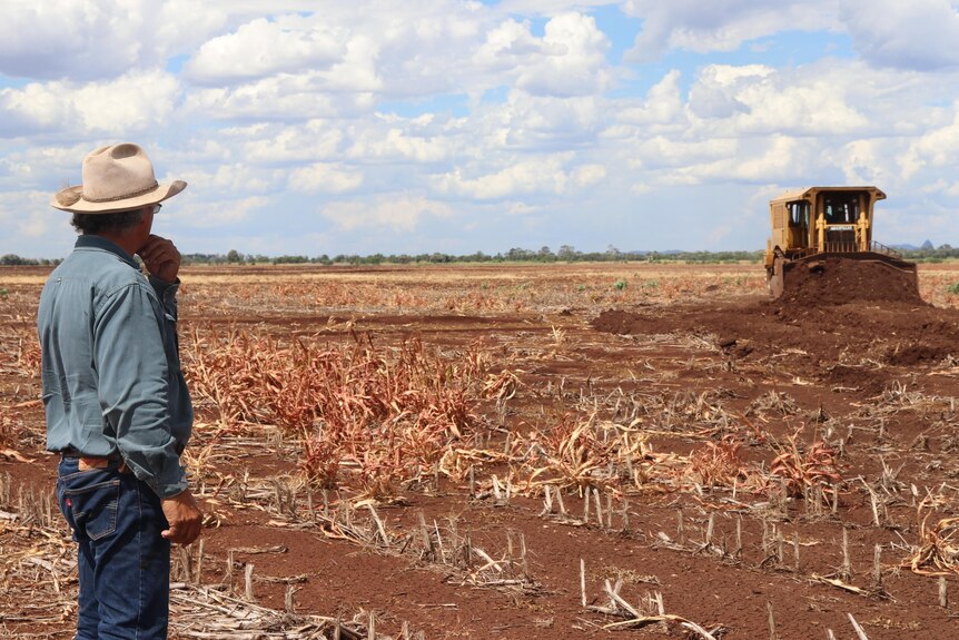 Peter Mifsud watches a bulldozer working in a paddock, the sky is visible in the background.