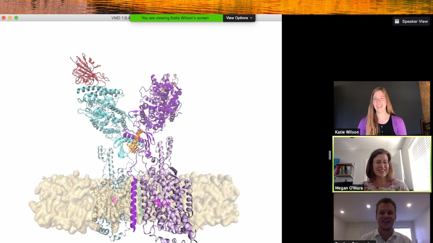 Three people appear in the meeting, smiling, while the main shared image shows the cell of COVID-19.