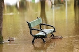 A chair is submerged in the south Parklands