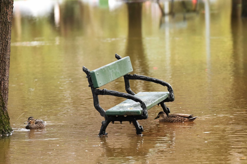 A chair is submerged in the south Parklands