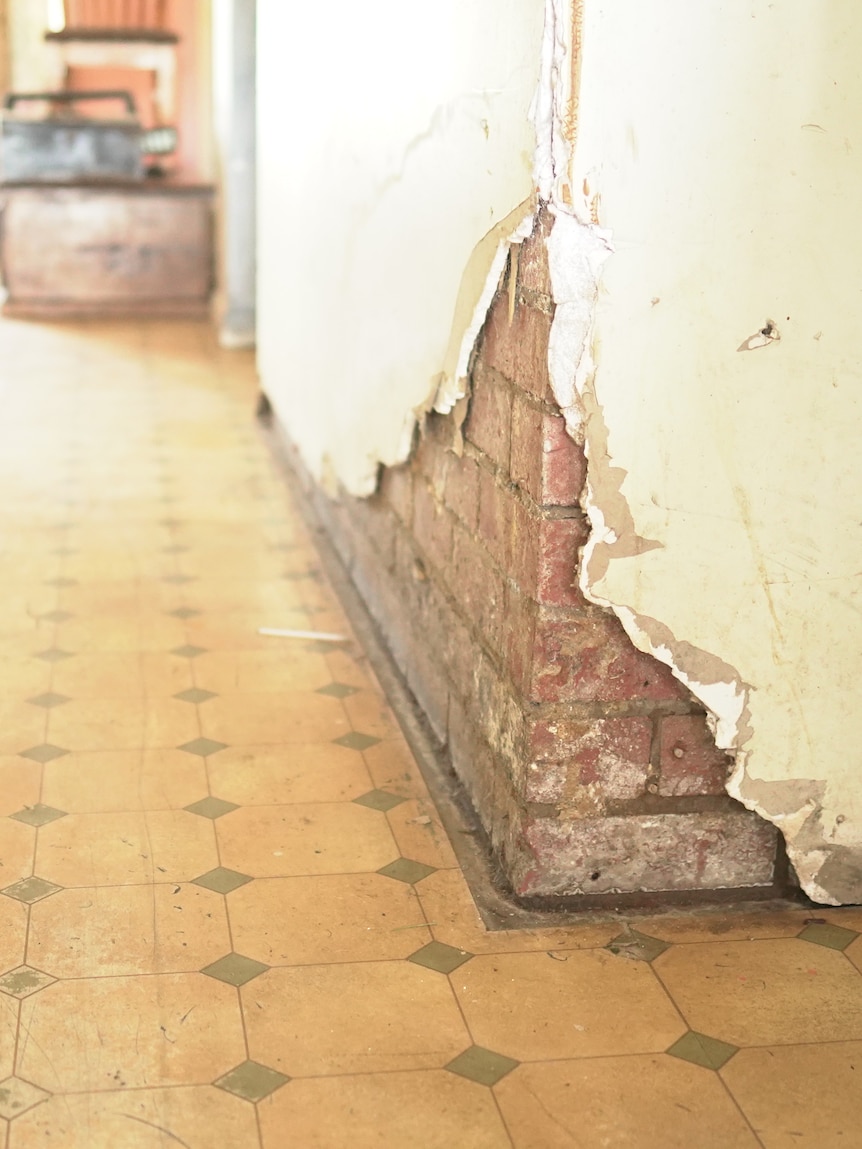 Bricks exposed on a damaged wall.