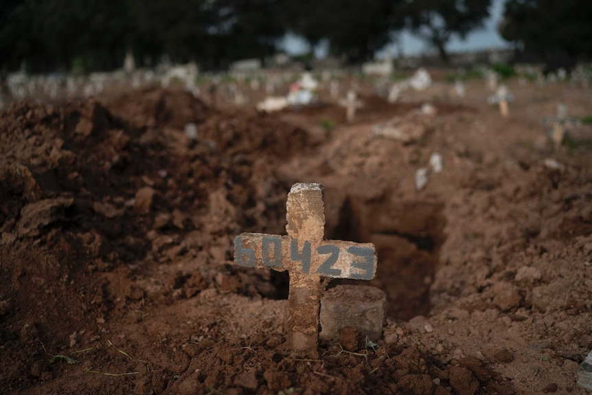 A wooden cross with a number on a newly-dug grave in front of other graves with crosses.