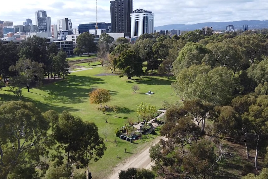 A drone shot of a small community garden with lawn and tall buildings in the background