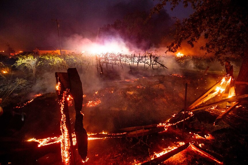 A fence burns in front of a California vineyard.