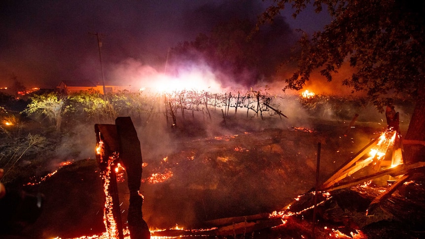 A fence burns in front of a California vineyard.