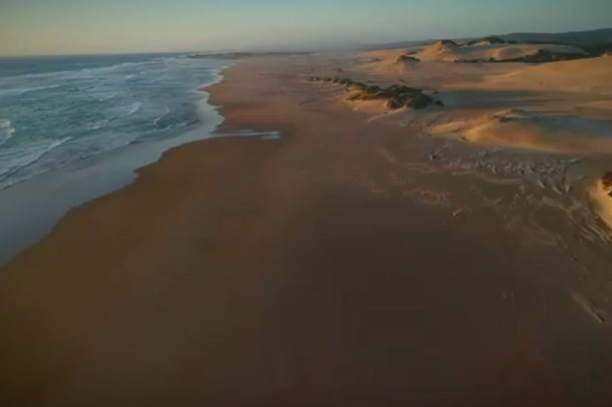 Still from Tasmanian Aboriginal language campaign on the Tarkine