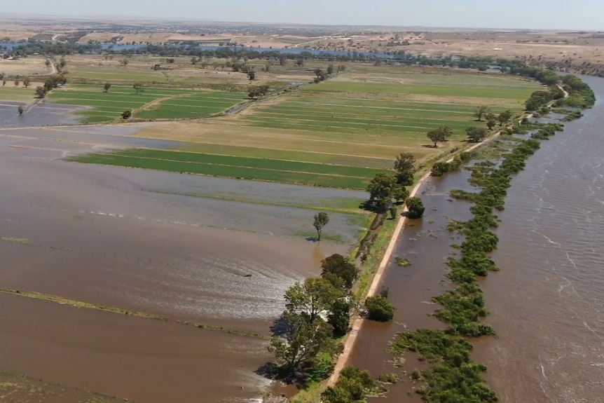 Fields covered in water with a levee and river to the right