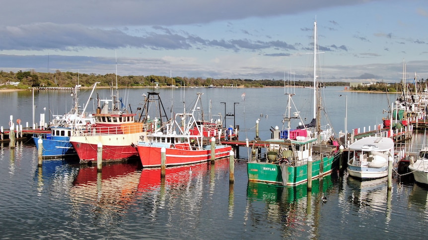 An aerial shot of boats with fishing gear moored between timber pylons. Dark blue water reflecting clouds