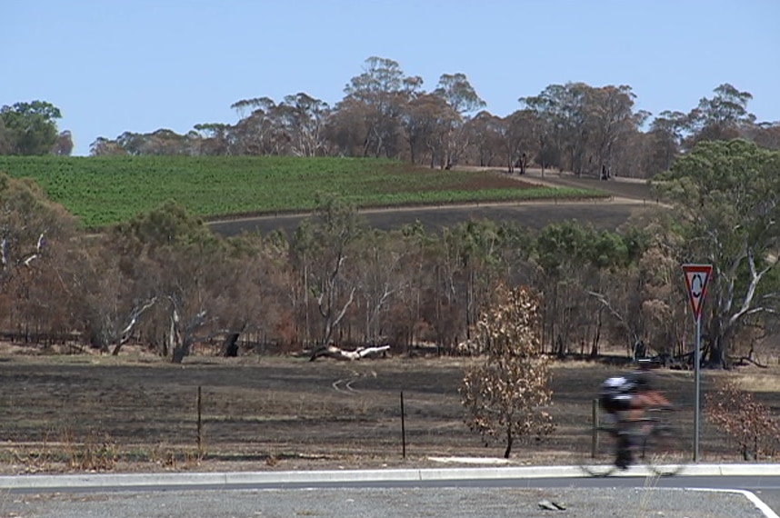 A cyclists rides past burnt ground