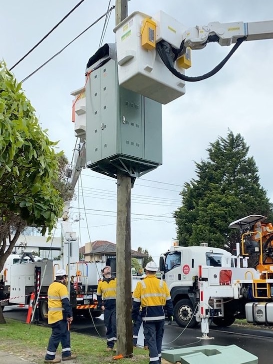 Workers install a green box on a power pole