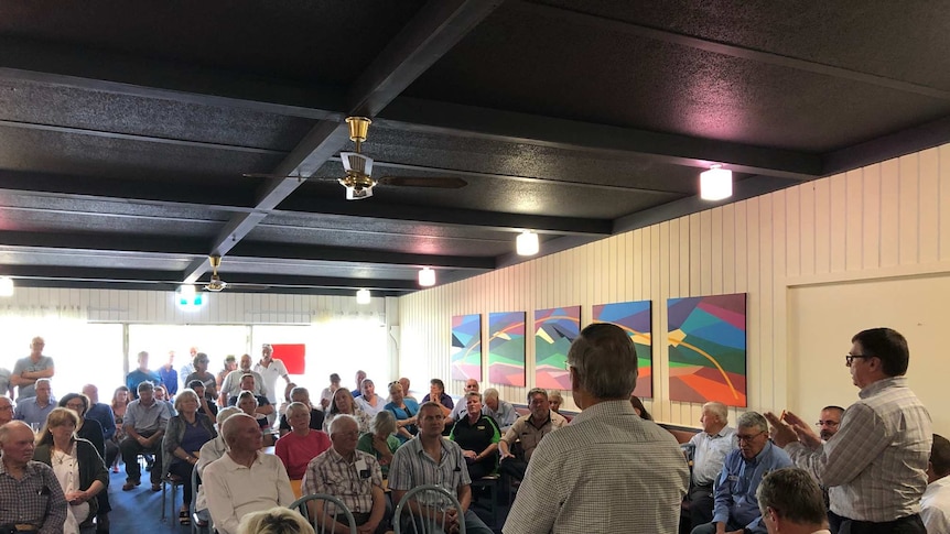 A roomful of people at a public meeting about the trees