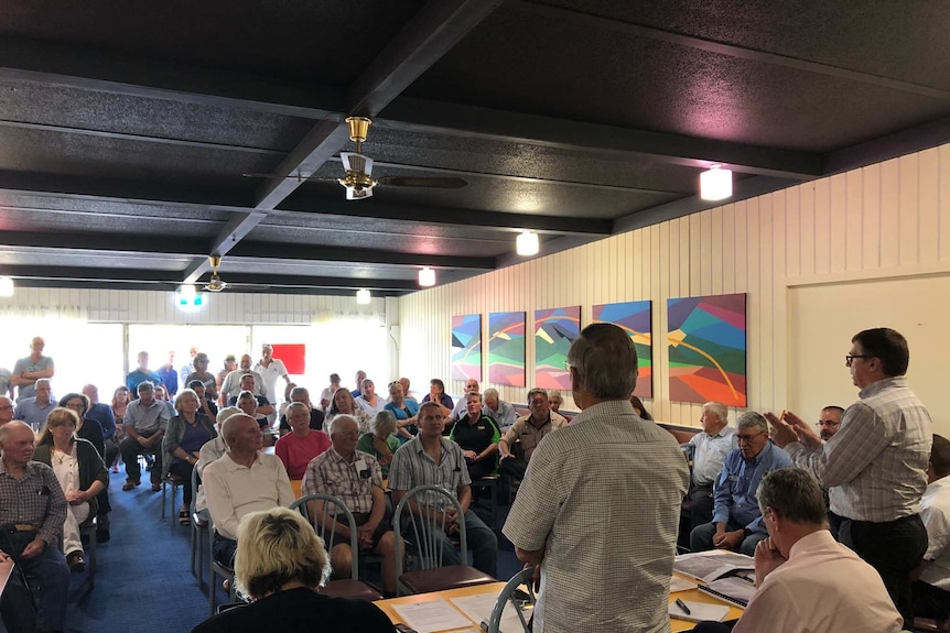 A roomful of people at a public meeting about the trees