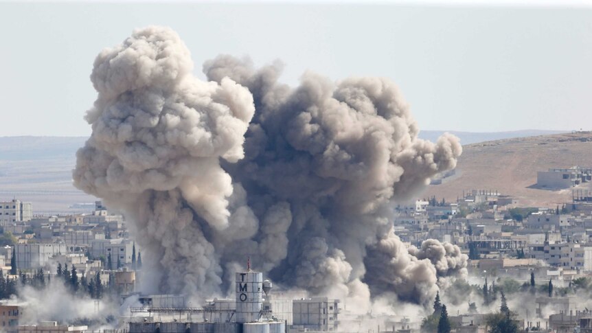 Coalition airstrikes target IS fighters in Kobane