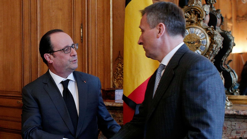 French President Francois Hollande (L) shakes hands with the Belgian ambassador to France Vincent Mertens de Wilmars.