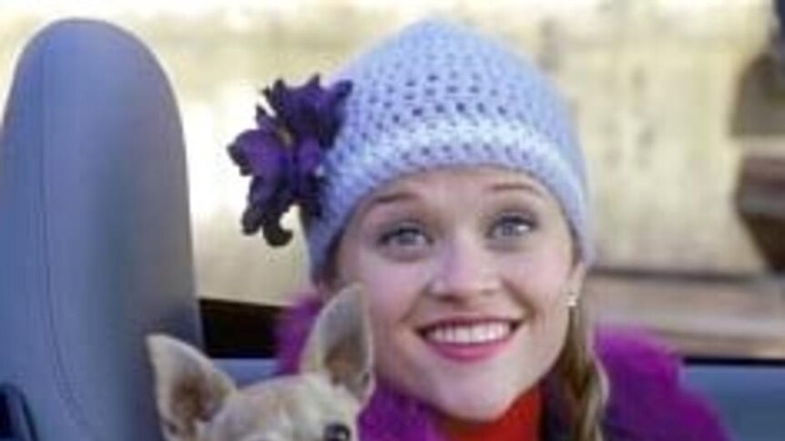 Reese Witherspoon stars in a scene from Legally Blonde