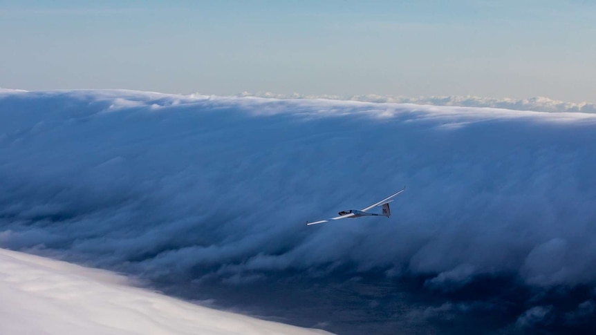 A glider in between morning glory clouds.