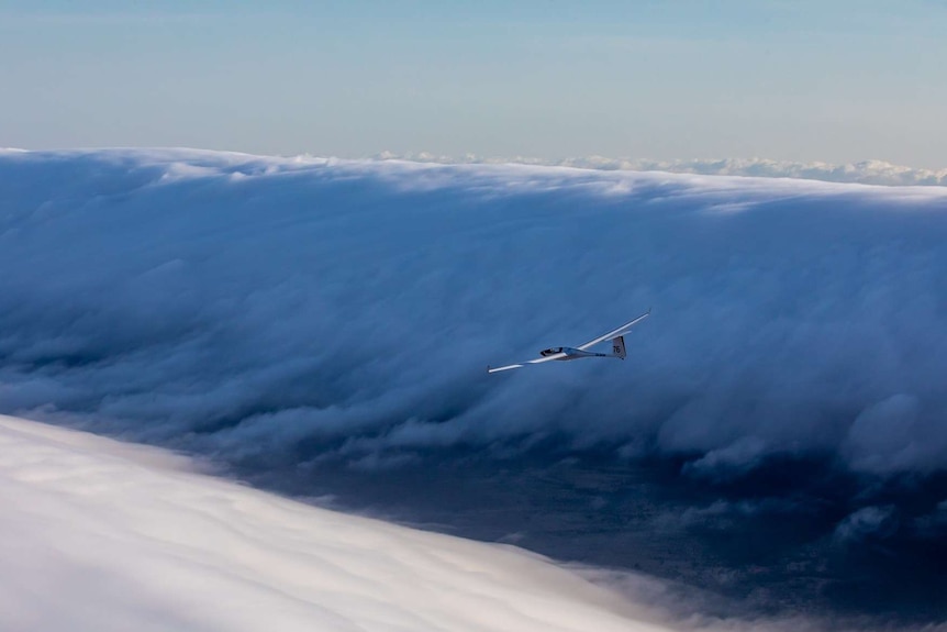A glider in between morning glory clouds.