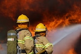 Two CFA firefighters hold a hose against a wall of fire.