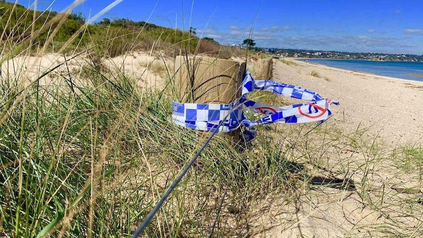 Blue and white police tape is wrapped around a timber post on the edge of the sand dunes on Seaford beach.