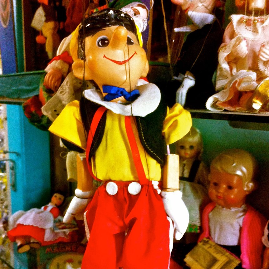 Antique Pinocchio marionette puppet at Brisbane doll hospital in December 2012