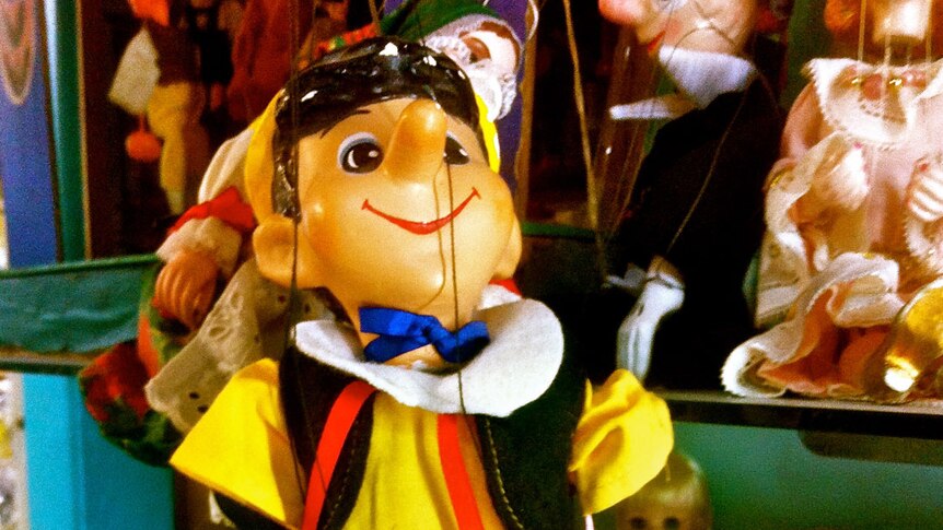 Antique Pinocchio marionette puppet at Brisbane doll hospital.