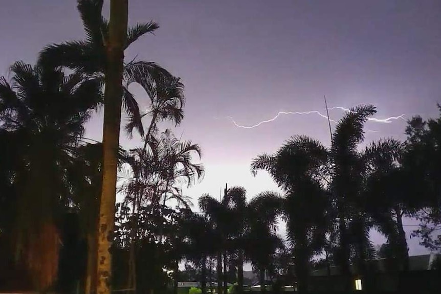 A lightning strike above the silhouette of palm trees.