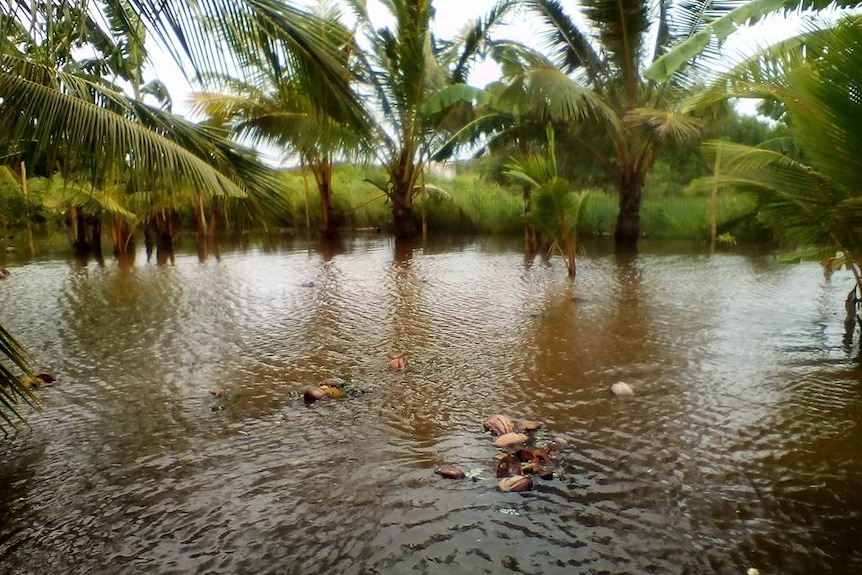 Flooding on Yam Island after high tides and heavy rain.