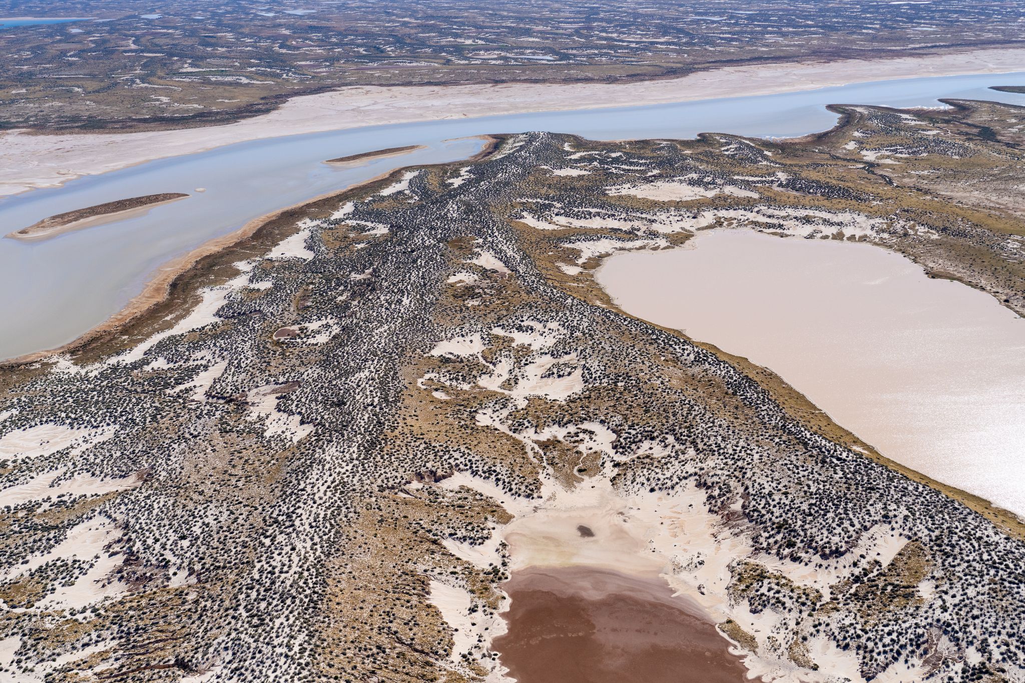 From the sky, a sandy desert covered in shrubs, with water throughout, and birds flying 