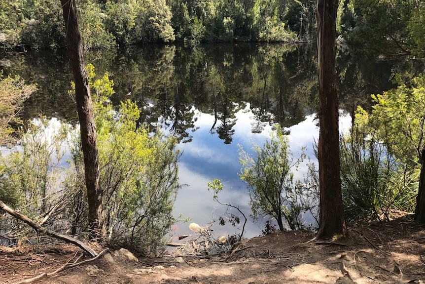 A lake surrounded by bushland.
