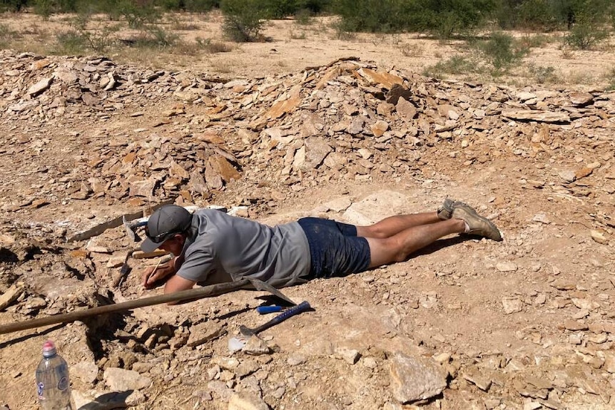 A man digging for fossils while lying on the ground. 