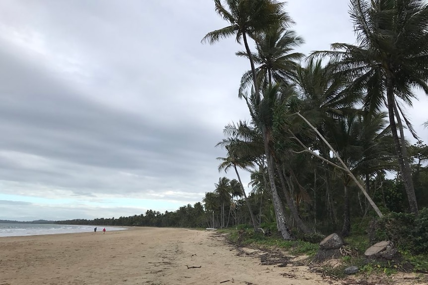 Mission Beach, south of Cairns in far north Queensland.