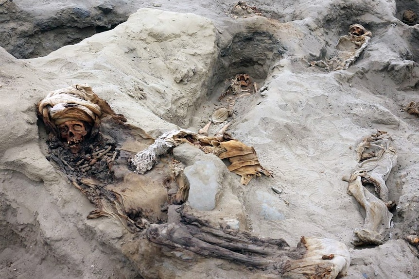 A skeleton found in sand and dirt.