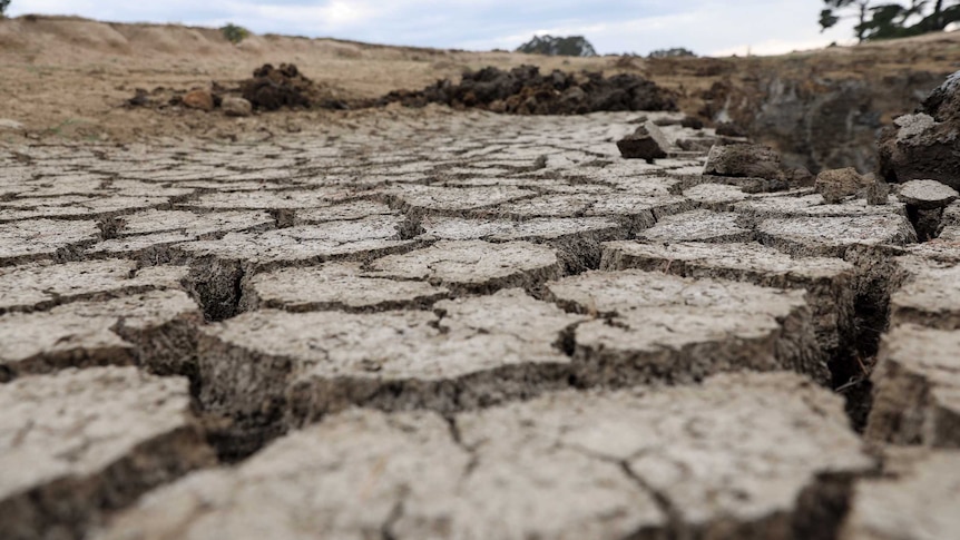 Dry, cracked ground on a farm.