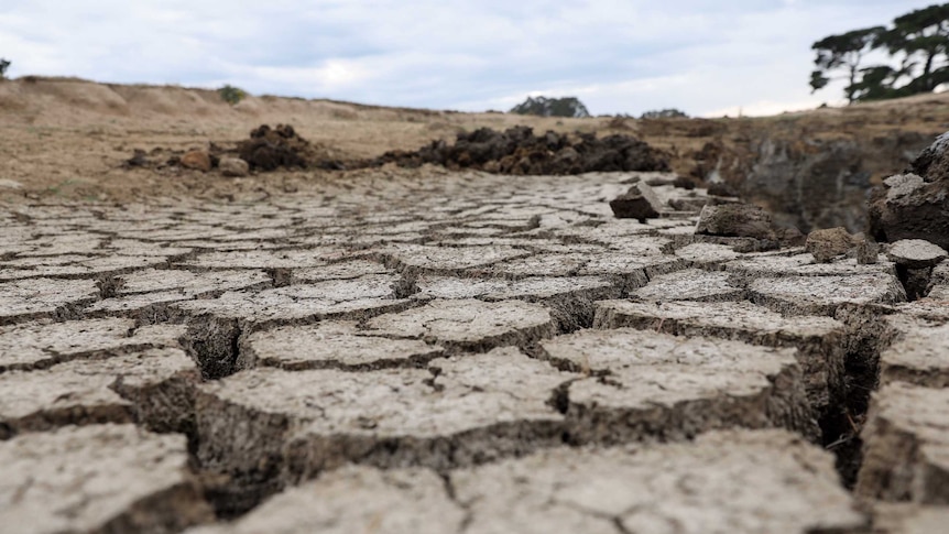 Dry, cracked ground on a farm.