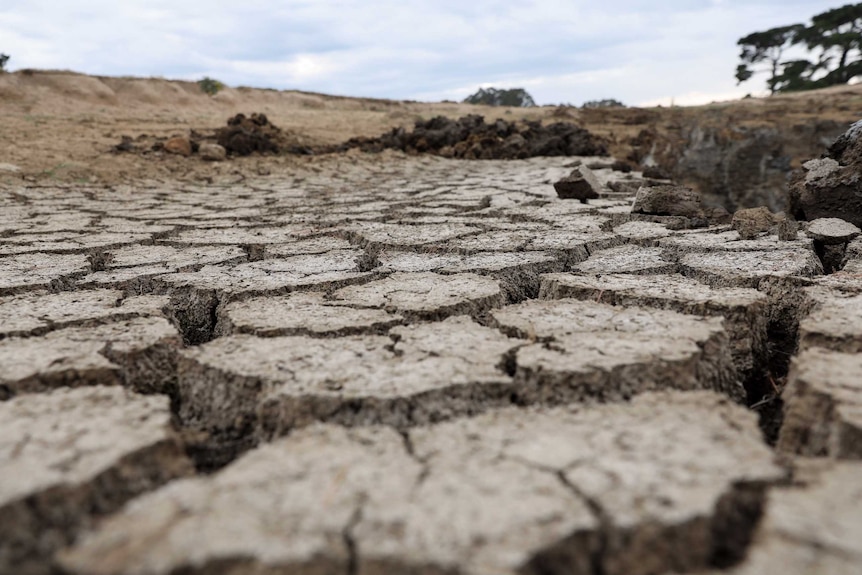 Dry, cracked ground on a farm.