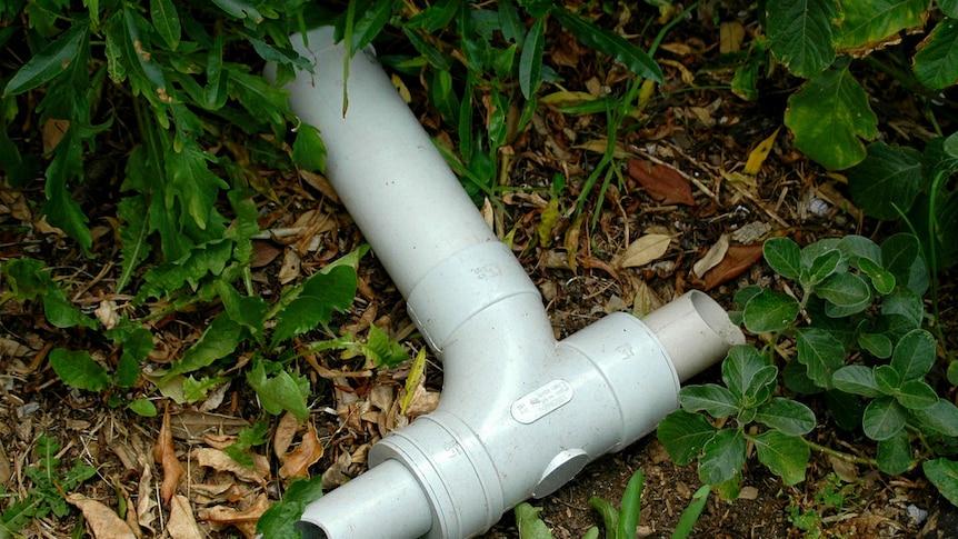 A plastic tube lying on the ground.