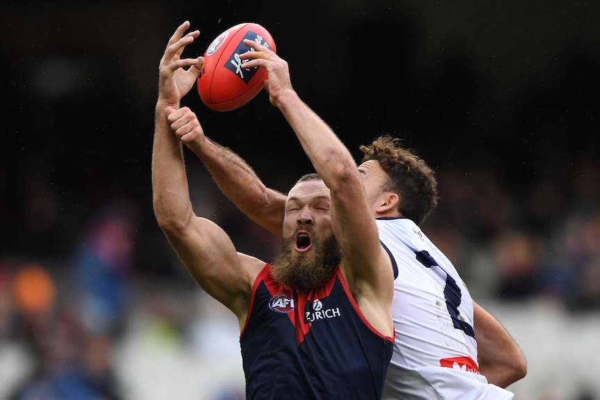 Max Gawn grimaces as he lifts his arms to mark. The ball is just out of his grasp, and a Freo player tries to punch it