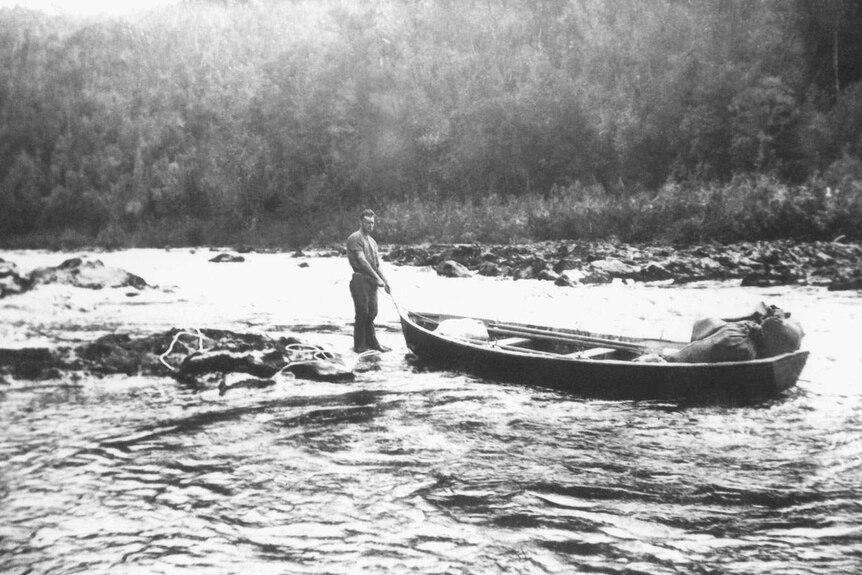Historic image from 1940s of timber getter pulling a wooden boat loaded with supplies up a river rapid