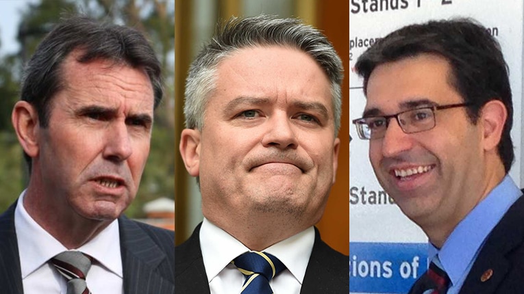 A composite image of WA Liberals Peter Collier, Mathias Cormann and Nick Goiran, all wearing suits and ties.