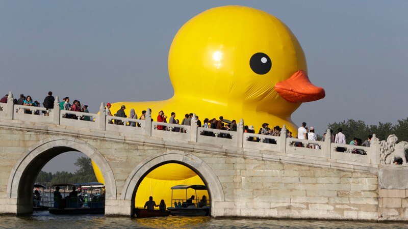 An inflated Rubber Duck by Dutch conceptual artist Florentijn Hofman floats on the Kunming Lake at the Summer Palace in Beijing September 26, 2013