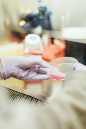 Petri dish in lab