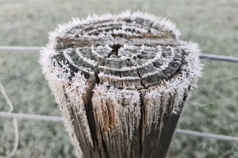 An icy fence post