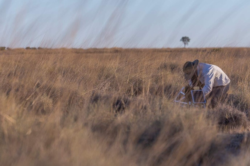 A man crouches over a device fitted with solar panels in a grassy field on dusk.