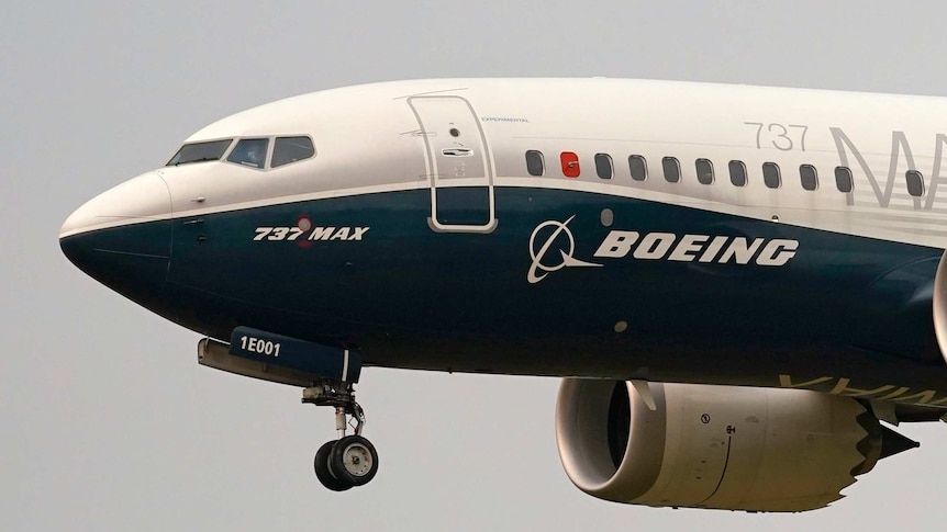 a blue and white Boeing 737 Max jet in the sky