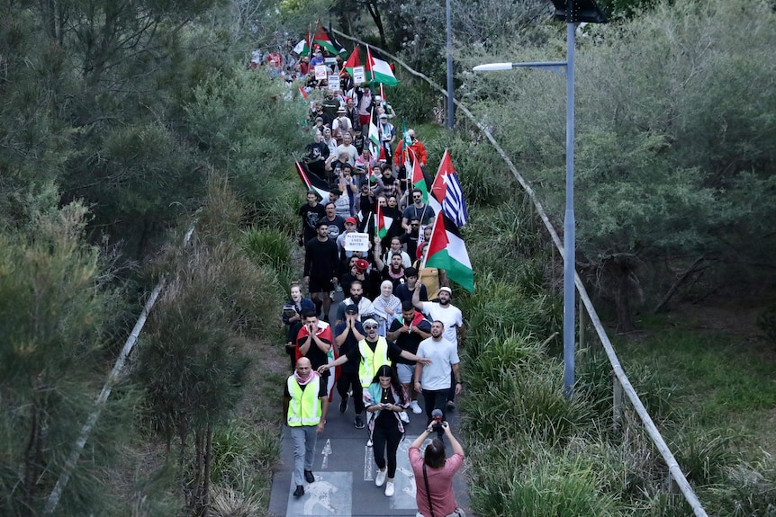 Crowd march during demonstration against ZIM