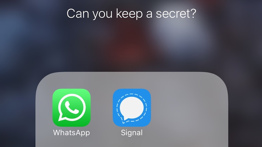 The app icons for WhatsApp and Signal on an iPhone.